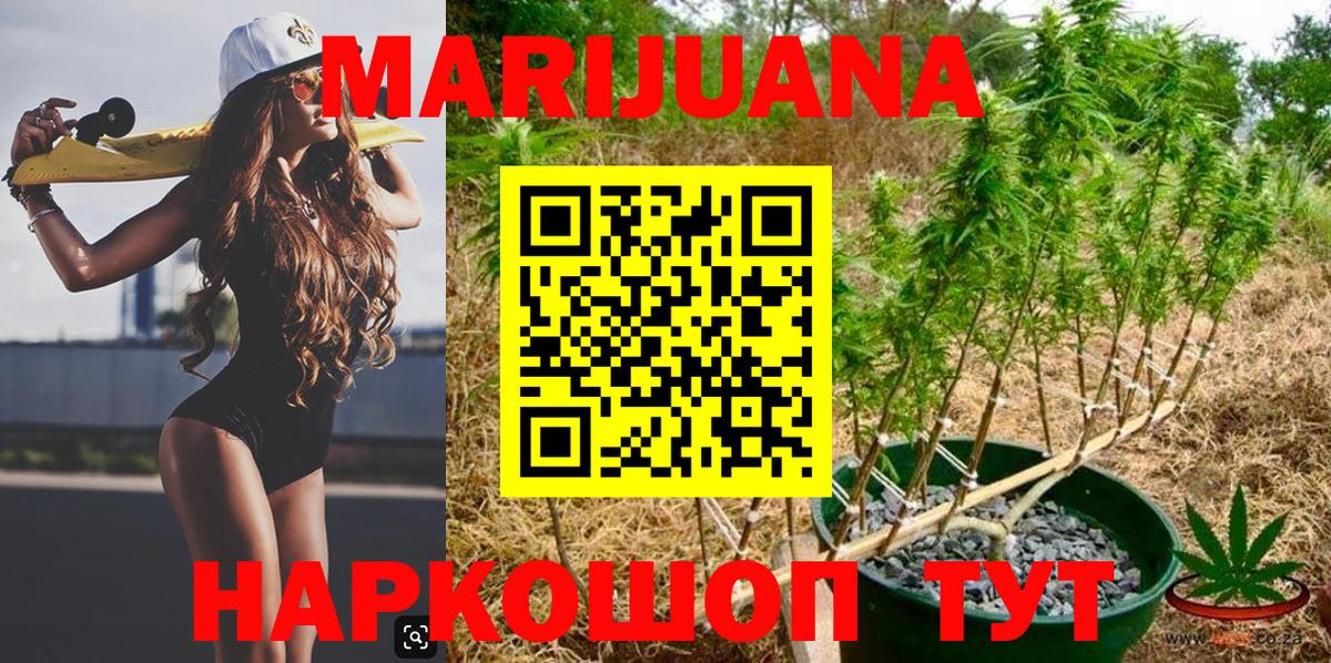 Конопля планчик  Вход с VPN  Конопля White Widow  Реж 